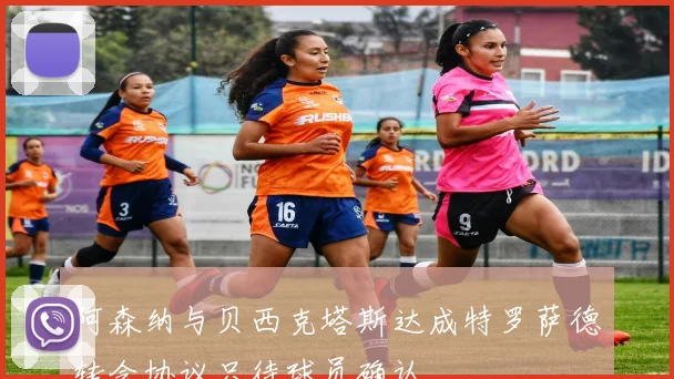 阿森纳与贝西克塔斯达成特罗萨德转会协议只待球员确认