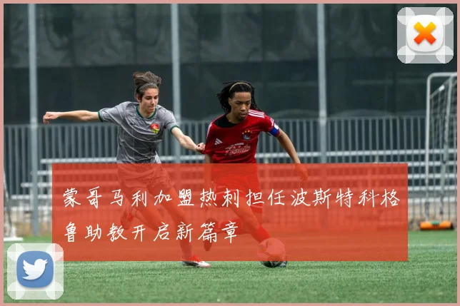 蒙哥马利加盟热刺担任波斯特科格鲁助教开启新篇章