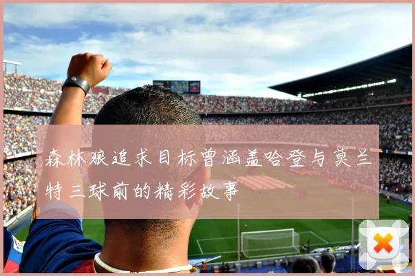 森林狼追求目标曾涵盖哈登与莫兰特三球前的精彩故事